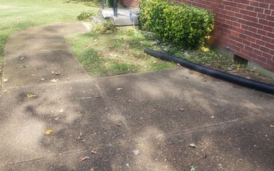 Photo of Joy R.'s yard after getting lawn care in Madison, TN