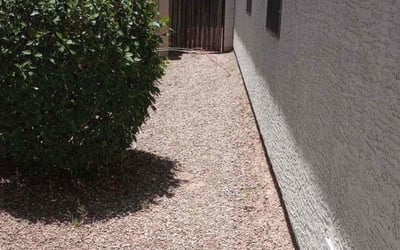 Photo of Larry L.'s yard after getting tree care in Coolidge, AZ
