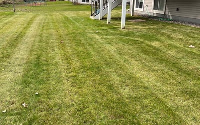 Photo of Venugopal V.'s yard after getting landscaping in Belle Plaine, MN