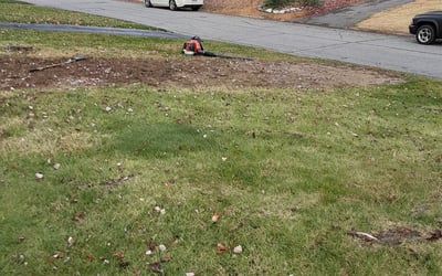 Photo of Julie S.'s yard after getting landscaping in New Palestine, IN