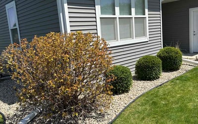 Photo of Donna L.'s yard after getting landscaping in Mount Horeb, WI