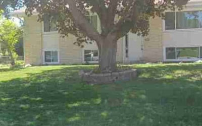 Photo of Jack P.'s yard after getting landscaping in Hugo, MN