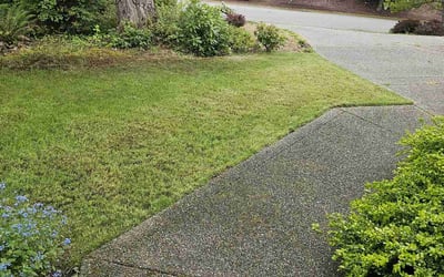 Photo of Paul P.'s yard after getting landscaping in Poulsbo, WA