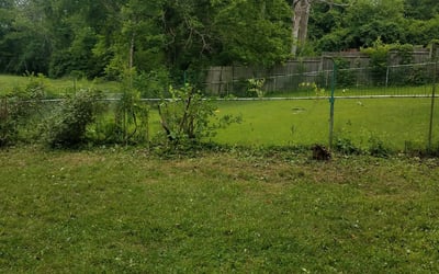 Photo of Michael S.'s yard after getting landscaping in Ft Mitchell, KY