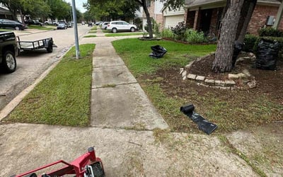 Photo of Zachary S.'s yard after getting tree care in Texas City, TX