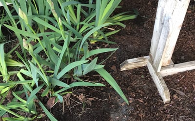 Photo of Pat B.'s yard after getting landscaping in Fairview, OR