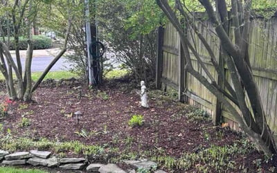 Photo of Robert C.'s yard after getting landscaping in Alexandria, VA