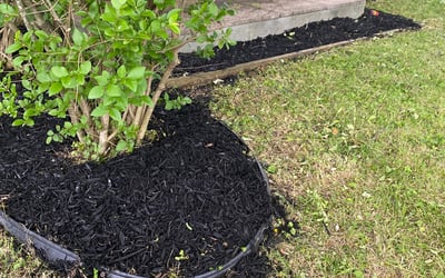 Photo of Jason G.'s yard after getting landscaping in Geneva, NY