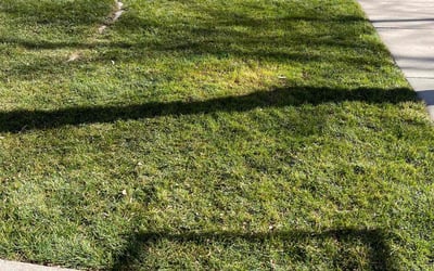 Photo of Greg A.'s yard after getting landscaping in Sedalia, CO