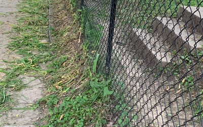 Photo of Melanie R.'s yard after getting landscaping in Trimble, MO