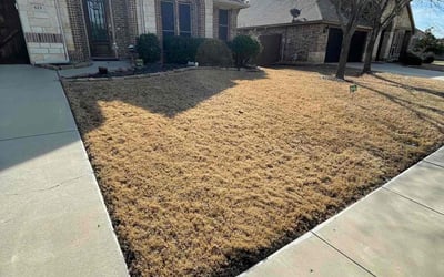 Photo of Michael K.'s yard after getting landscaping in Mansfield, TX