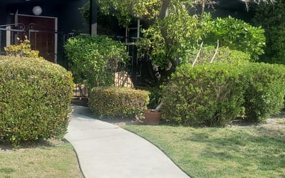 Photo of Alexis B.'s yard after getting landscaping in Brea, CA
