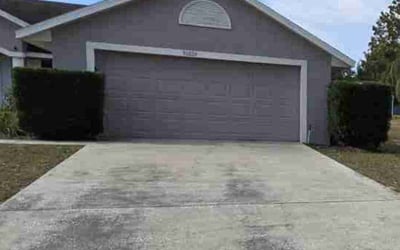 Photo of Diann C.'s yard after getting tree care in Altamonte Springs, FL