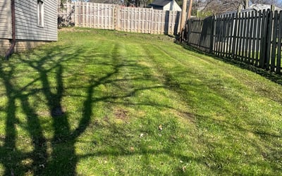 Photo of Nathan S.'s yard after getting landscaping in Newbury, OH