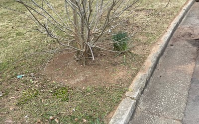 Photo of Lisa C.'s yard after getting landscaping in Bostwick, GA