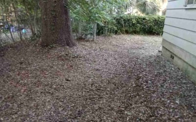 Photo of Linda B.'s yard after getting landscaping in Alachua, FL