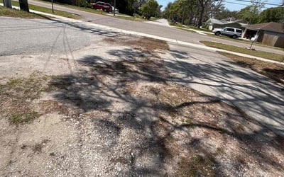 Photo of Tamara H.'s yard after getting landscaping in Tarpon Springs, FL