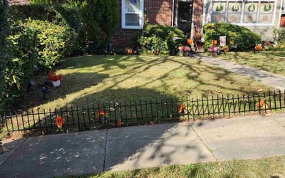 Photo of Chloe V.'s yard after getting lawn care in Auburn, AL