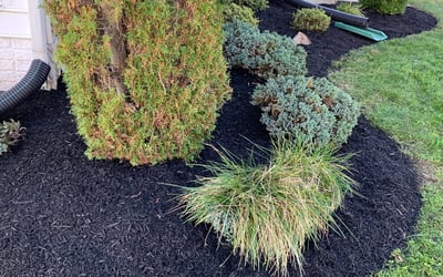Photo of Chris S.'s yard after getting landscaping in Midland, VA