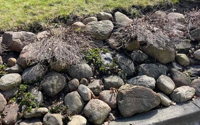 Photo of Emily S.'s yard after getting landscaping in Chardon, OH