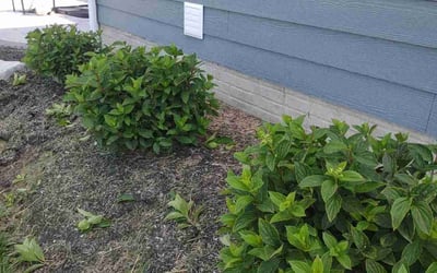 Photo of Michael M.'s yard after getting landscaping in Logan, OH