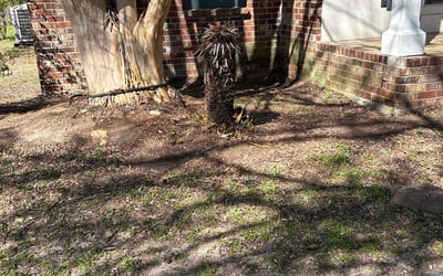 Photo of Jessica S.'s yard after getting landscaping in Zachary, LA