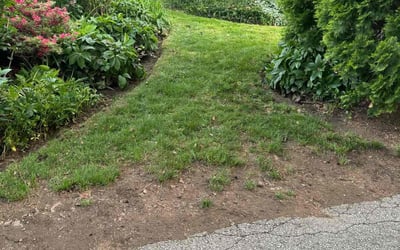 Photo of Jane L.'s yard after getting landscaping in Newtown, PA