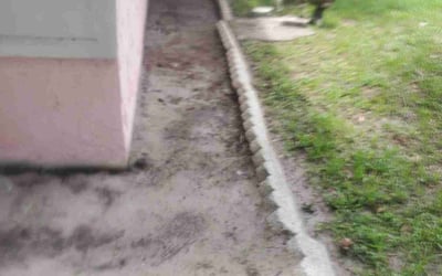 Photo of Julie S.'s yard after getting landscaping in Alturas, FL