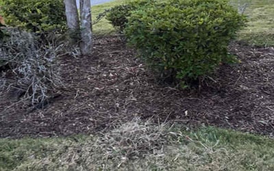 Photo of Brenda R.'s yard after getting landscaping in Orange Park, FL