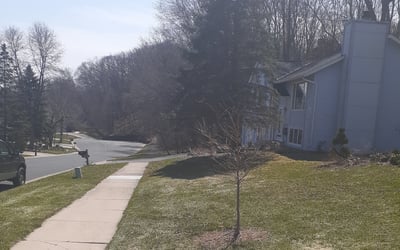 Photo of Jordan J.'s yard after getting landscaping in Braham, MN
