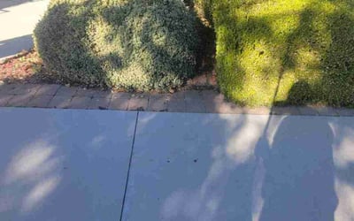 Photo of Carol C.'s yard after getting landscaping in Parma, ID