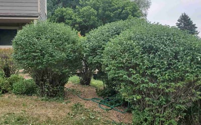 Photo of Erin S.'s yard after getting landscaping in Scandia, MN