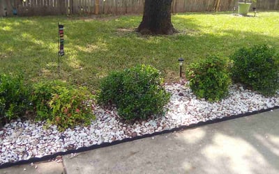 Photo of Ray R.'s yard after getting landscaping in Pflugerville, TX