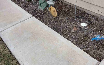 Photo of Zachary S.'s yard after getting tree care in Santa Fe, TX