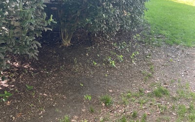 Photo of Eric D.'s yard after getting landscaping in Sunbury, NC