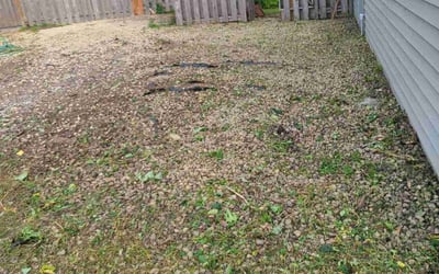 Photo of Abby W.'s yard after getting landscaping in Arlington, MN