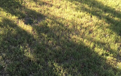 Photo of Tyler H.'s yard after getting landscaping in Haysville, KS