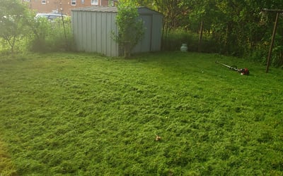 Photo of Derek C.'s yard after getting landscaping in Ashville, OH
