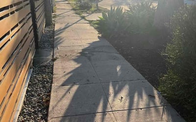 Photo of Sabrina S.'s yard after getting landscaping in Arcadia, CA