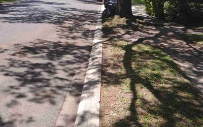 Photo of Morgan P.'s yard after getting landscaping in Saint Rose, LA