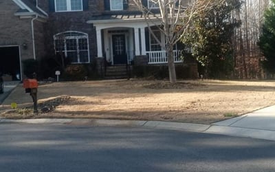 Photo of Kimberly B.'s yard after getting landscaping in Blackstock, SC