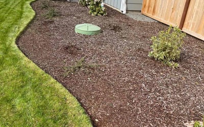 Photo of Seawon K.'s yard after getting tree care in Woodinville, WA