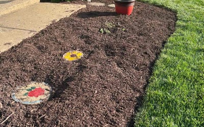 Photo of Robert M.'s yard after getting landscaping in Warrenton, VA