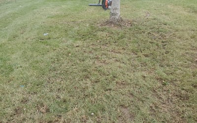 Photo of Amanda S.'s yard after getting landscaping in Scottsburg, IN