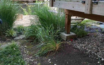 Photo of Natalie W.'s yard after getting landscaping in Brownsville, IN