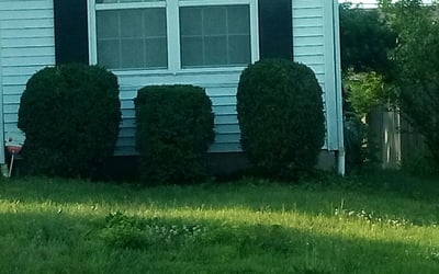 Photo of Stephanie K.'s yard after getting landscaping in Harrisburg, OH