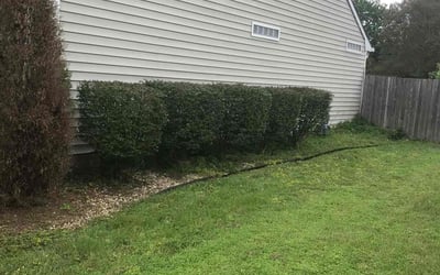 Photo of Louise A.'s yard after getting landscaping in Gwynn, VA