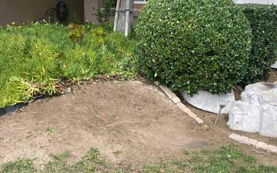 Photo of Diane C.'s yard after getting landscaping in Desert Hot Springs, CA