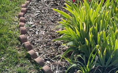Photo of Jennifer C.'s yard after getting landscaping in Bennett, CO