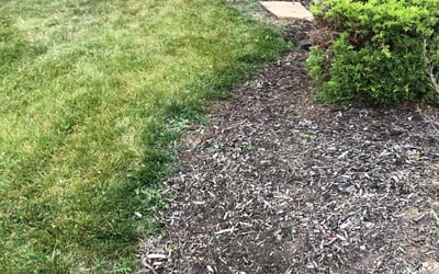Photo of Gregory M.'s yard after getting landscaping in Buckner, MO